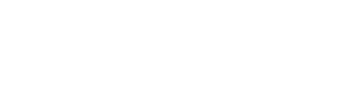 RadiXplore - Strategic Intilligence For Mining Exploration